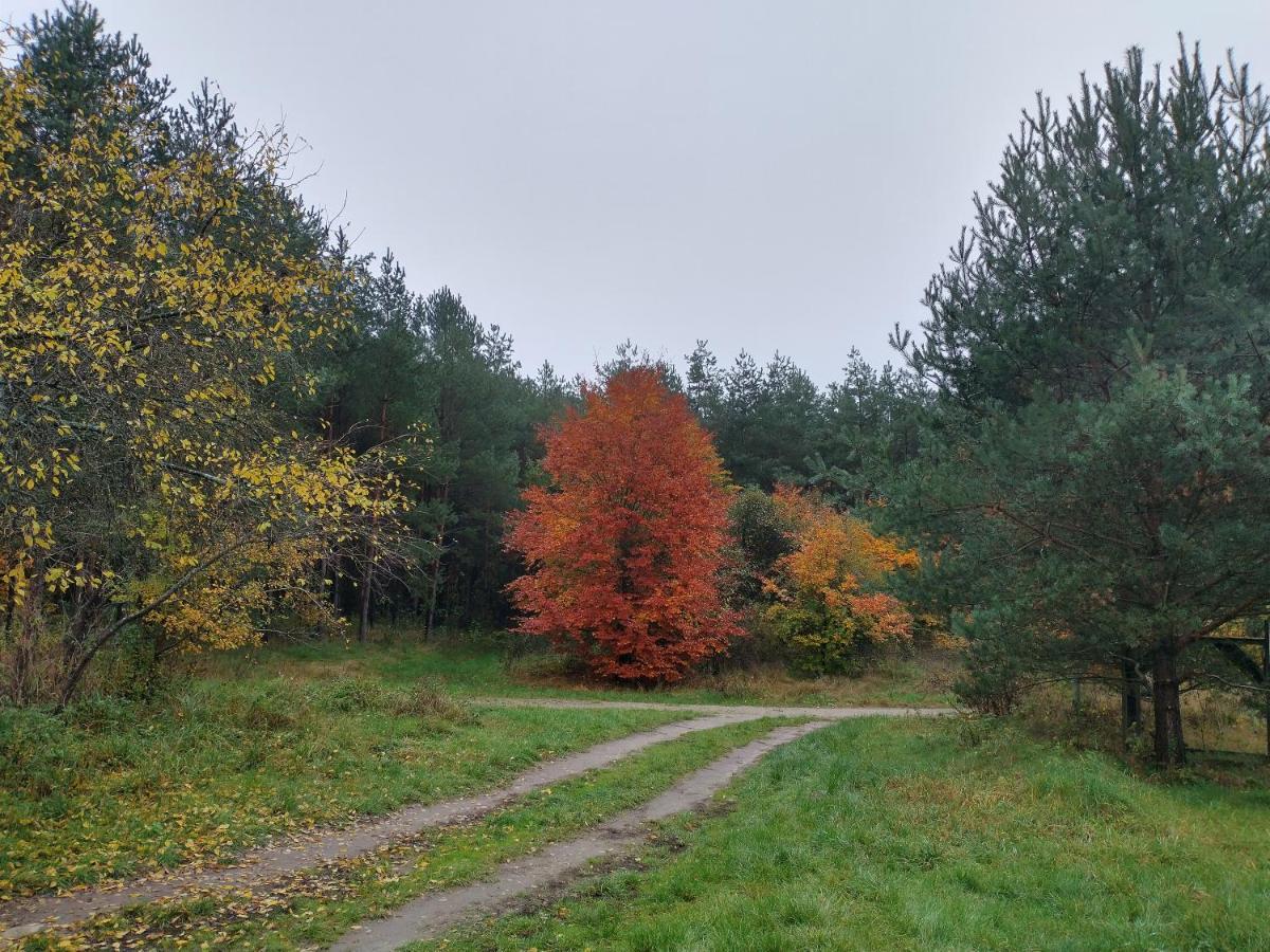 Agroturystyka Lesna Babka Jastrowie Exterior foto